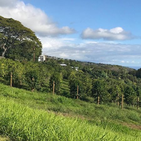 Отель Nohokai At Kona Joe Coffee Farm Kealakekua Экстерьер фото