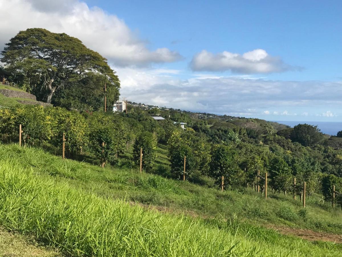 Отель Nohokai At Kona Joe Coffee Farm Kealakekua Экстерьер фото