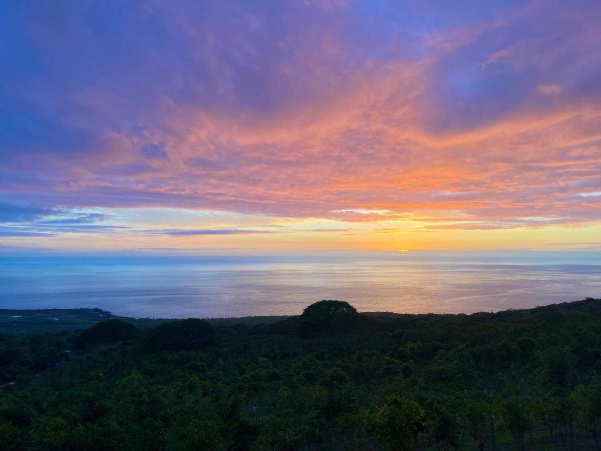 Отель Nohokai At Kona Joe Coffee Farm Kealakekua Экстерьер фото