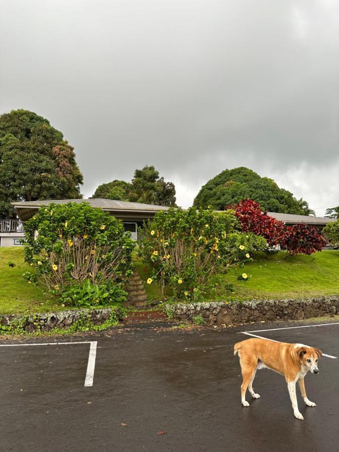 Отель Nohokai At Kona Joe Coffee Farm Kealakekua Экстерьер фото